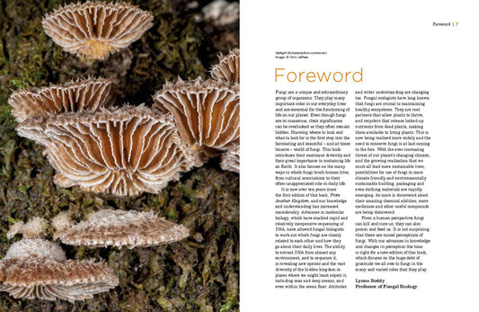 The Fascinating World of Fungi