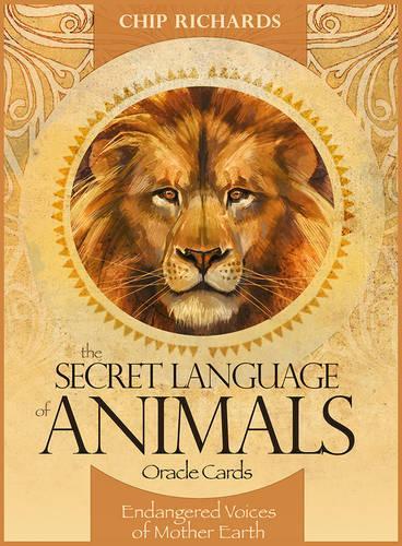 Secret Language of Animals Cards Deck