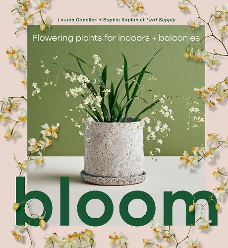 Bloom Flowering plants for indoors and balconies