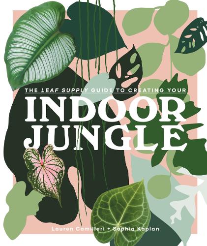 Leaf Supply Guide to Creating Your Indoor Jungle