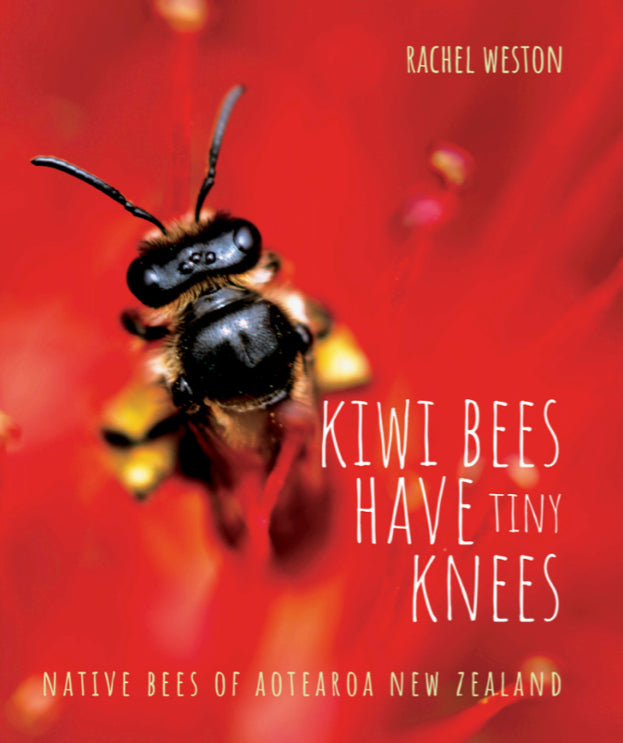 Kiwi Bees Have Tiny Knees