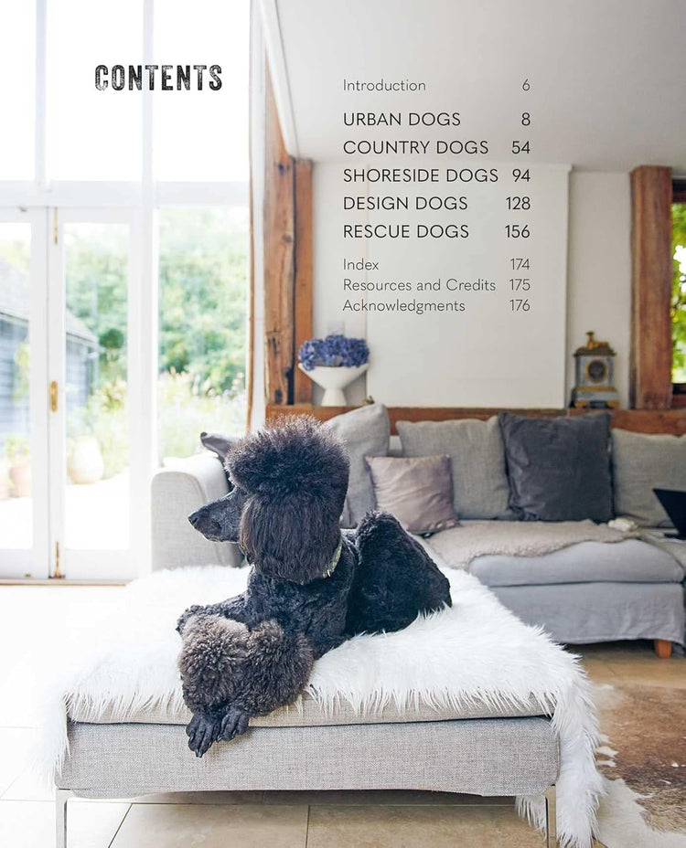 Cool Dogs, Cool Homes