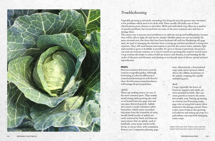Kew Gardeners Guide to Growing Vegetables