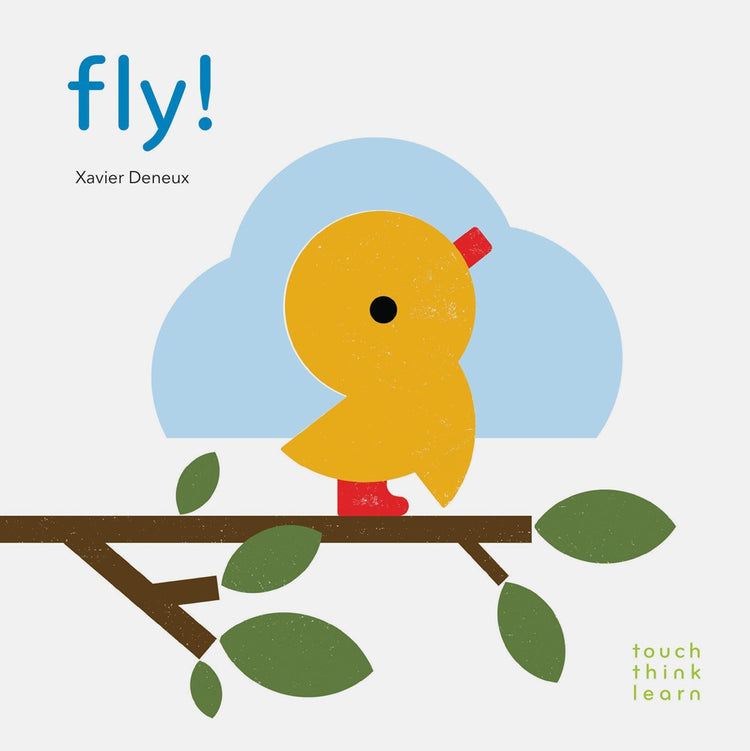 TouchThinkLearn Fly