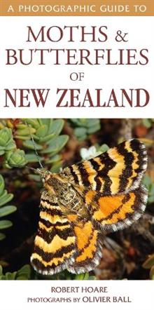 A Photographic Guide to Moths & Butterflies of New Zealand