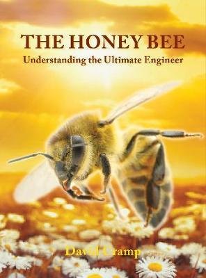 Honey Bee: Understanding the Ultimate Engineer