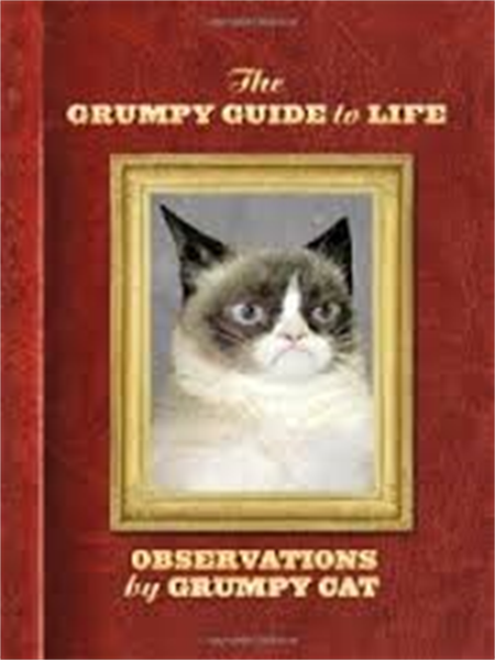 Grumpy Guide to Life: Observations from Grumpy Cat