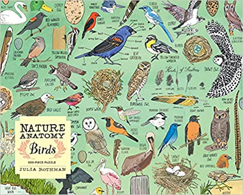 Nature Anatomy Birds 500-piece Jigsaw Puzzle