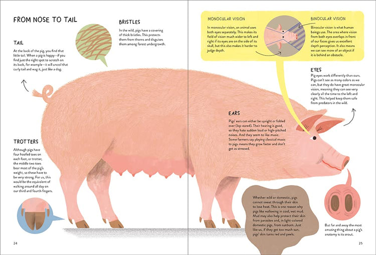 Pigology: The Ultimate Encyclopedia